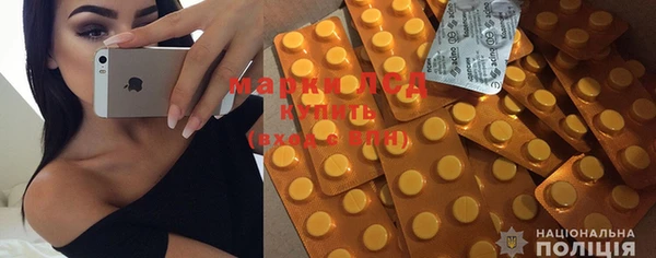 индика Володарск