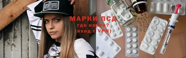 индика Володарск