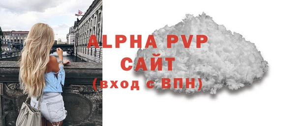 индика Володарск