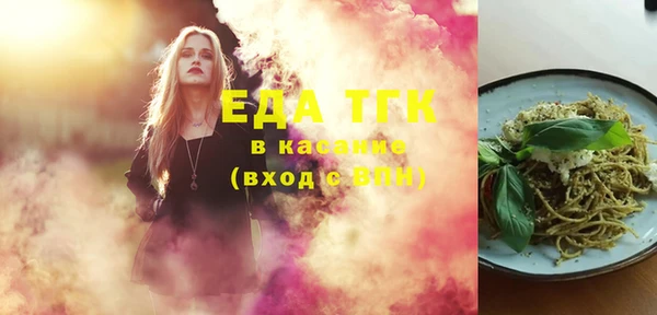 индика Володарск