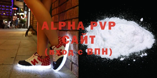 индика Володарск