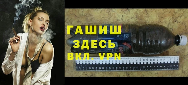индика Володарск