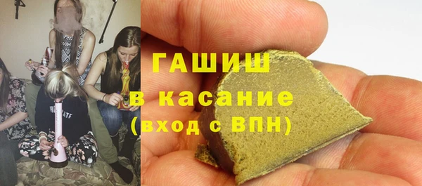 индика Володарск