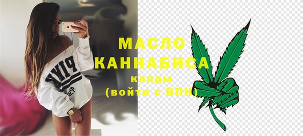индика Володарск