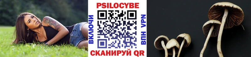 Псилоцибиновые грибы GOLDEN TEACHER Кочубеевское